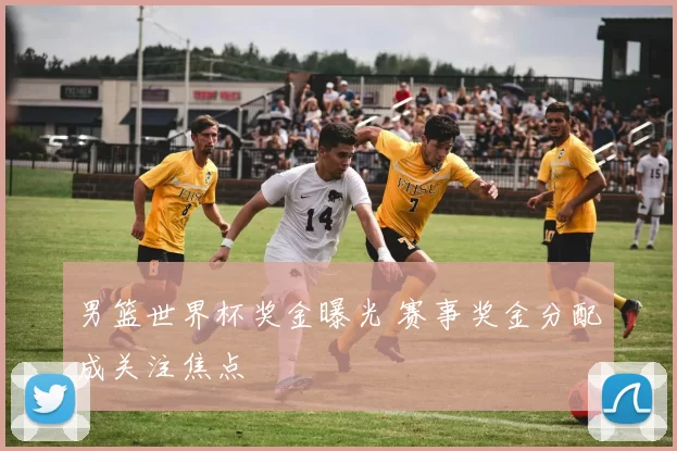 男篮世界杯奖金曝光 赛事奖金分配成关注焦点