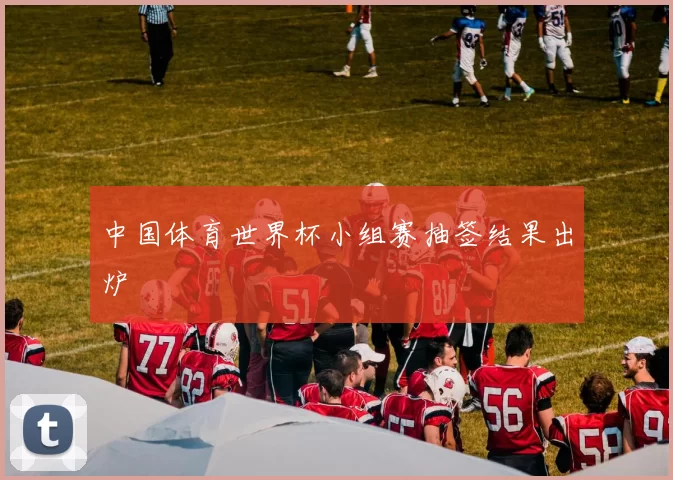 中国体育世界杯小组赛抽签结果出炉