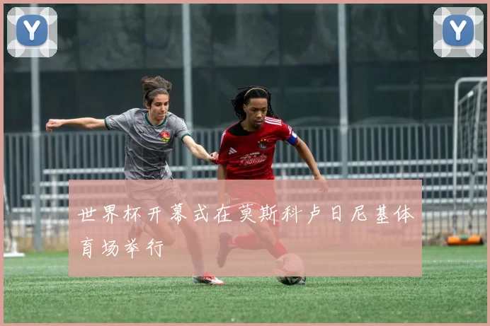 世界杯开幕式在莫斯科卢日尼基体育场举行