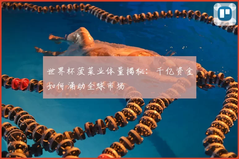 世界杯菠菜业体量揭秘：千亿资金如何涌动全球市场