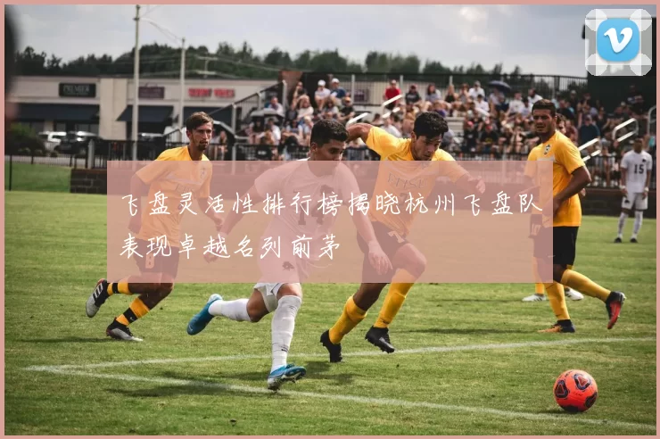 飞盘灵活性排行榜揭晓杭州飞盘队表现卓越名列前茅