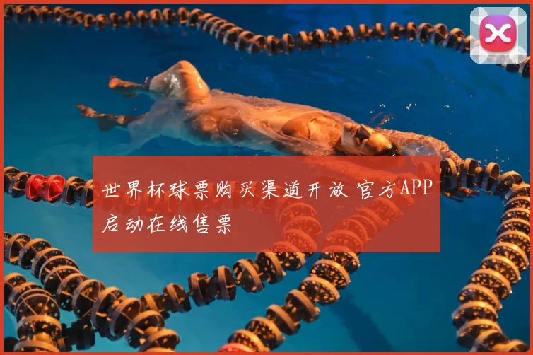 世界杯球票购买渠道开放 官方APP启动在线售票