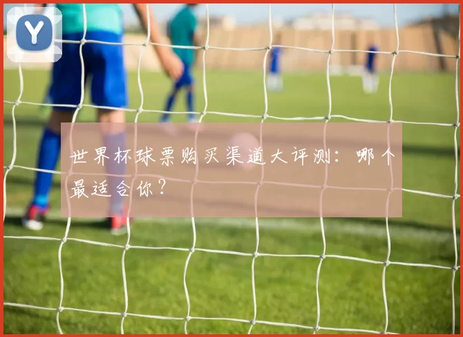 世界杯球票购买渠道大评测：哪个最适合你？