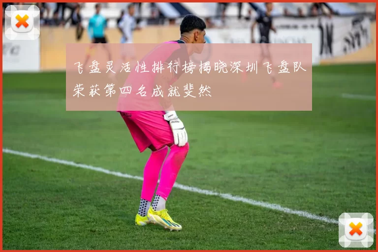 飞盘灵活性排行榜揭晓深圳飞盘队荣获第四名成就斐然