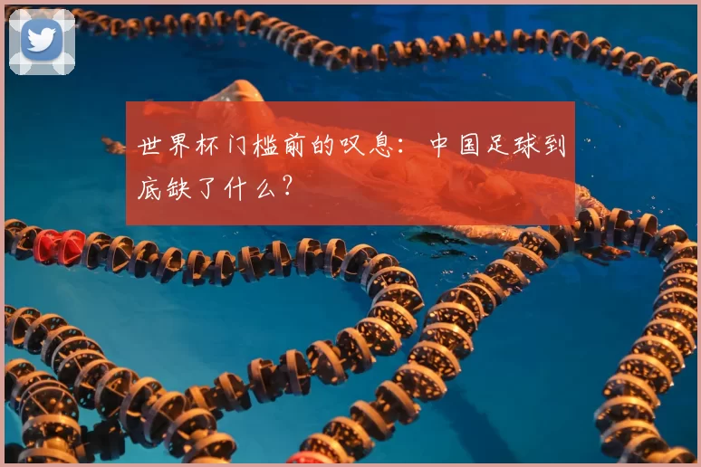 世界杯门槛前的叹息:中国足球到底缺了什么?